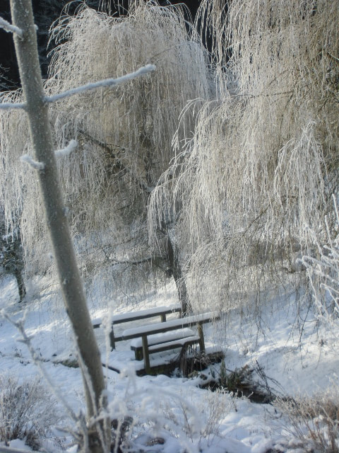 Winterruhe, Brücke zur Ruhe & Stille